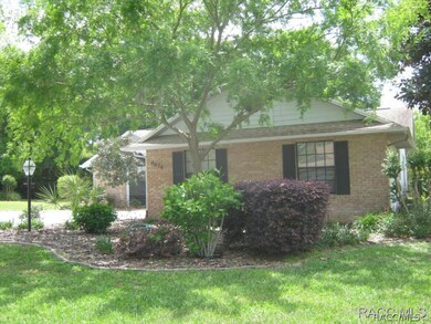 SHADY FRONT LAWN
