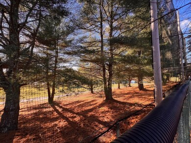 31 Reservoir Ave, Lakeville, MA 02347 - photo 5