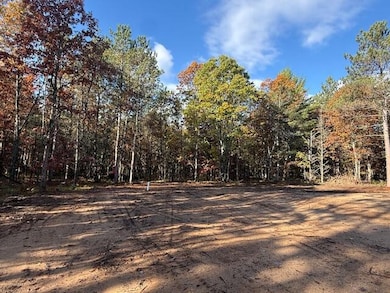 6710 W Dana's Cir, Baldwin, MI 49304 - photo 6