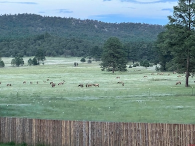 200 Meadow Ln unit Sky Ranch, Mimbres, NM 88049 - photo 6