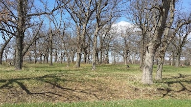 119 E 900 S, Kouts, IN 46347 - photo 2