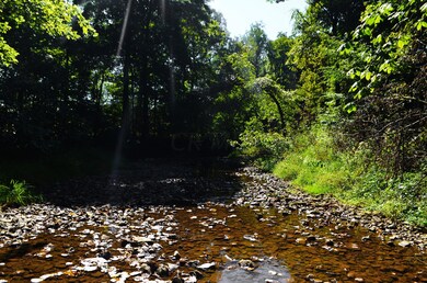 Creek