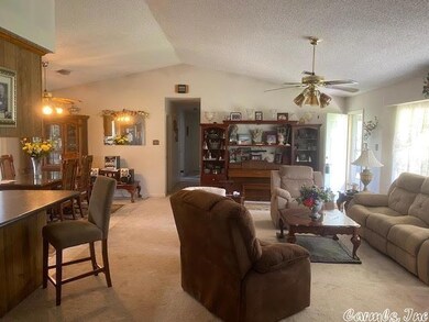 29 Fiegel Loop, Conway, AR 72032 - photo 6