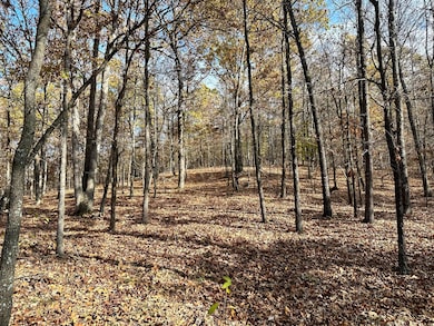 000 Route Z Hwy, van Buren, MO 63965 - photo 3