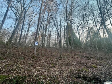 Lot 14 Hensley Rd, East Bernstadt, KY 40729 - photo 6