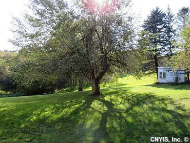 Backyard.