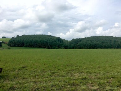 0 Old Galax Pike unit 7331697, Hillsville, VA 24343 - photo 5