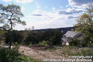 19403 Terra Mont, San Antonio, TX 78255 - photo 3