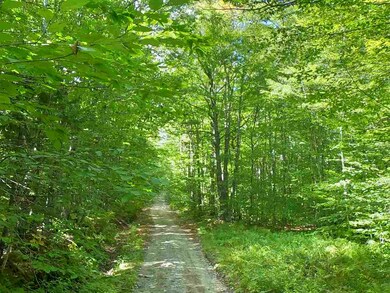 0 Beech Hill Rd unit 13 4773150, Warren, NH 03279 - photo 3