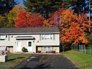 Beautiful Fall Foliage!