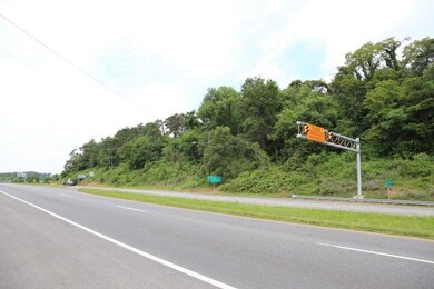 US 460