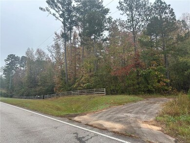View of road with a forest view