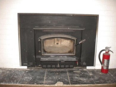 111-137309 Fireplace