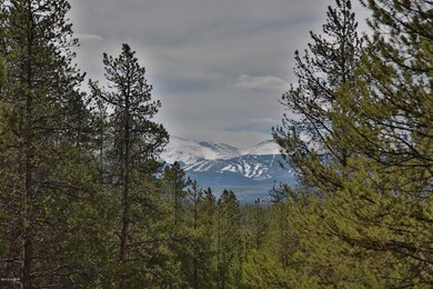 Mountain view 1