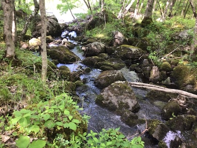 Stream