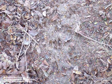 00 Burke Rd, Hessmer, LA 71341 - photo 6