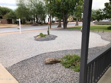 Easy maintenance desert landscaping