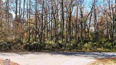 0000 Betsy Ln, Woodruff, SC 29388 - photo 3