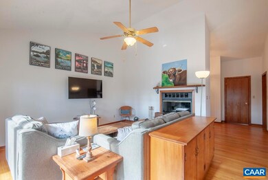 442 Foothills Dr, Nellysford, VA 22958 - photo 6