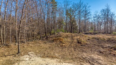 DJI_0444