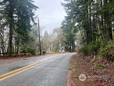 7515 Whiteman Rd SW, Longbranch, WA 98351 - photo 5