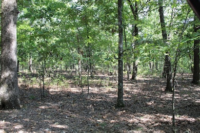 Lot 41-4