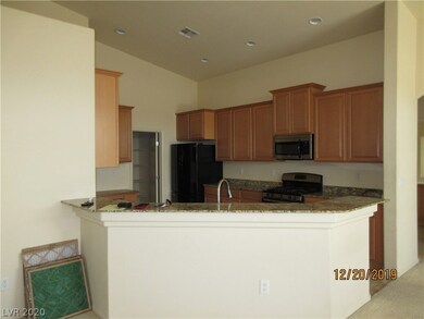 7033 Longhorn Cattle St, North Las Vegas, NV 89084 - photo 7