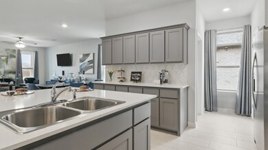 205 Affirmed Ct, Granbury, TX 76049 - photo 4