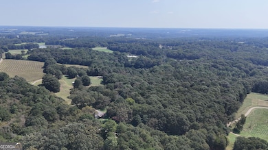 499 Aderhold Rd, Carnesville, GA 30521 - photo 4