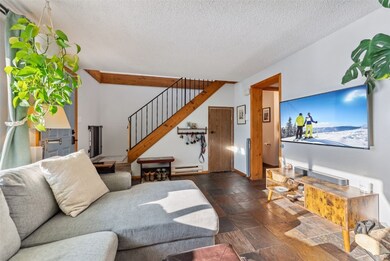 342 W 4th St unit 342, Silverthorne, CO 80498 - photo 3