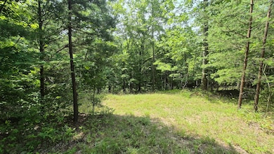 1255 Cherokee Path, Jasper, TN 37374 - photo 6