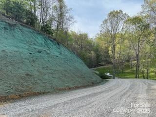 97 Junebug Trail, Waynesville, NC 28785 - photo 4