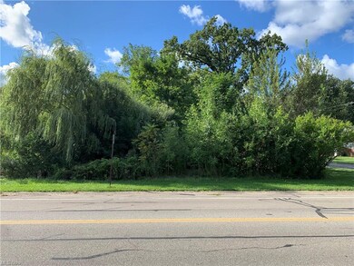 417 Cove Beach Ave, Sheffield Lake, OH 44054 - photo 2