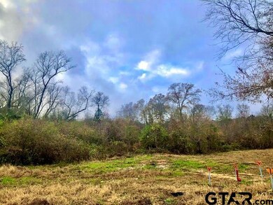 0000 County Road 21, Tyler, TX 75707 - photo 3