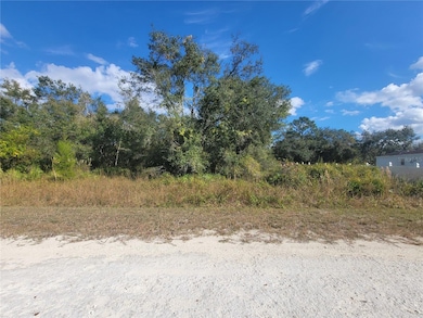 9460 Rousseau St, Ridge Manor, FL 33597 - photo 3