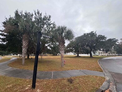 616 Green Meadows Cir unit Lot 23, Georgetown, SC 29440 - photo 7