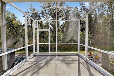 15843 Fishhawk View Dr, Lithia, FL 33547 - photo 3