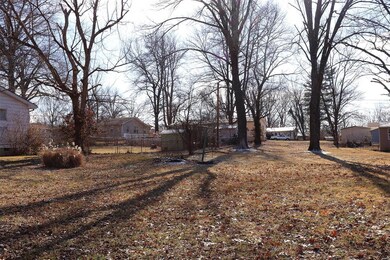 808 Taylor Ave, Farmington, MO 63640 - photo 3