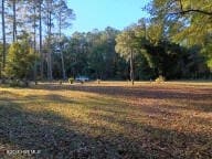 154 Old School House Rd, Blounts Creek, NC 27814 - photo 5