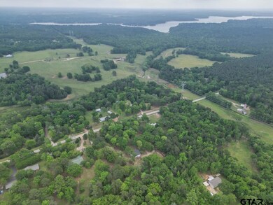 13684 Flagstaff Dr, Tyler, TX 75707 - photo 4