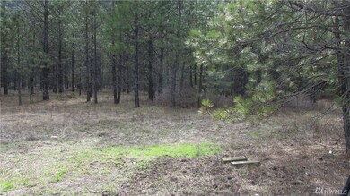 0 Stecker Rd unit 1105807, Laurier, WA 99146 - photo 2