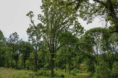 cutover_0330