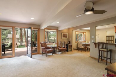 305 Sortais Rd, Durango, CO 81301 - photo 6