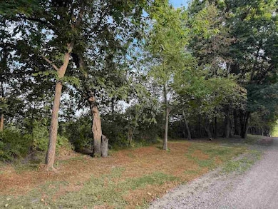 25738 Golden Pond Ln Se Lot 16, Lone Tree, IA 52755 - photo 2