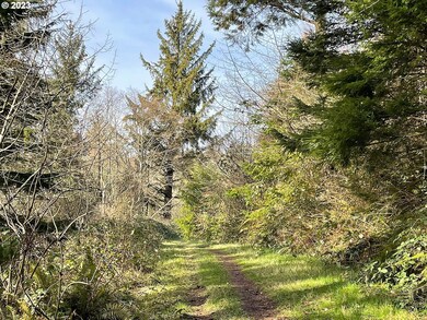Community Park