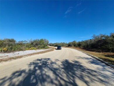 224 Lakeland Dr, Lake Placid, FL 33852 - photo 7