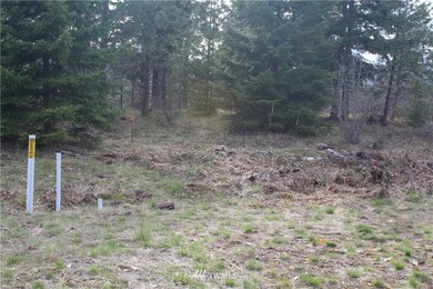 unlisted-address, Cle Elum, WA 98922 - photo 6