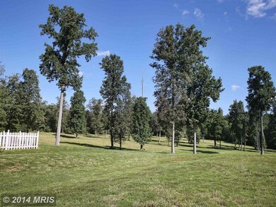 8306 March Wales Rd, Warrenton, VA 20186 - photo 6