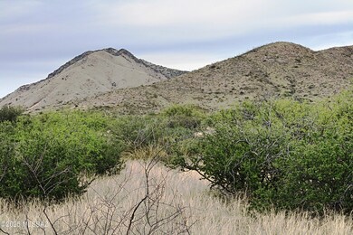 IMG_2084_Fotor