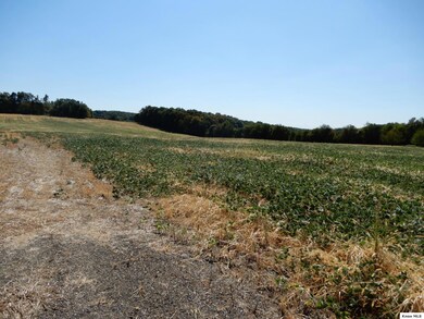 17970 Scott Rd, Monroe Township, OH 43050 - photo 4